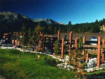 Lodge Marmot