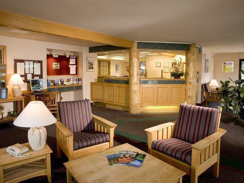 Lodge Marmot *