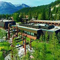 Marmot Jasper